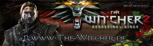 Witcher 2 - Assisins of Kings