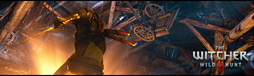 https://www.the-witcher.de/banner/tw3/Jodob_w33.jpg