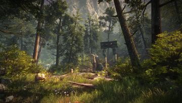 https://www.the-witcher.de/media/content/39297Ruins_In_The_Forestnew.jpg