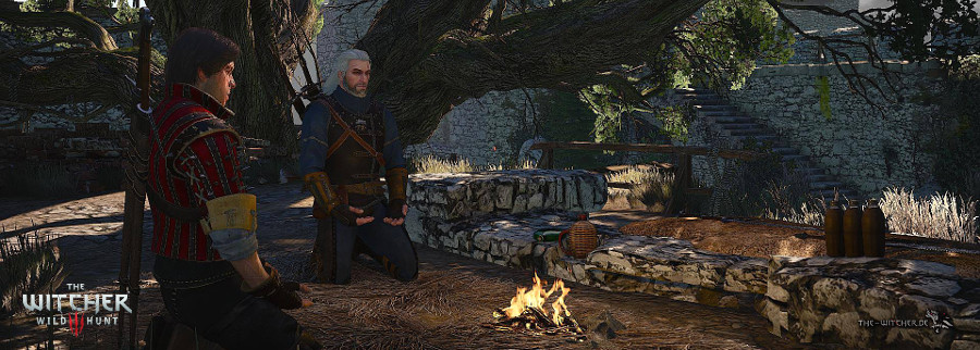 https://www.the-witcher.de/media/content/News_TW3-Meditation_900x322.jpg