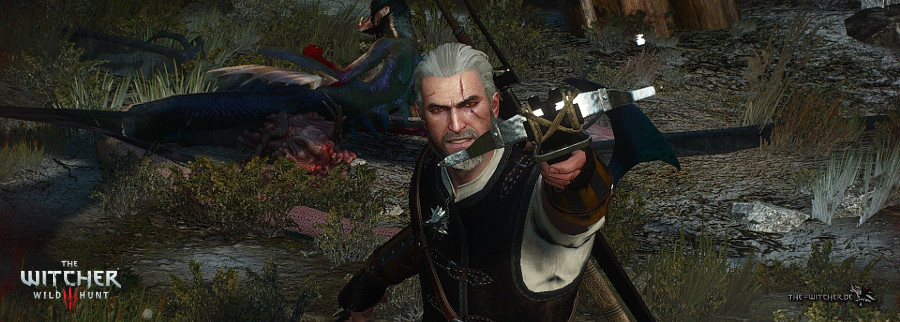 https://www.the-witcher.de/media/content/News_TW3-Zielen-und-Schuss_900x322.jpg