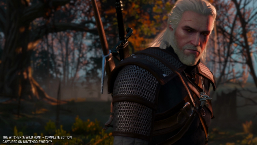 https://www.the-witcher.de/media/content/The_Witcher_3_Switch-Im_watching_you-RGB_s.jpg