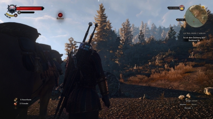 https://www.the-witcher.de/media/content/tw3_fazit_11_s.jpg