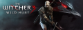 The Witcher 3 Banner