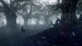 Geralt im Wald des Leshen