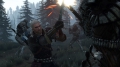 Geralt im Kampf