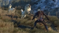 The Witcher 3 - Diese Tiere knnen dich in wenigen Sekunden in Stcke reien