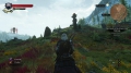 The Witcher 3 - Blumenwiese