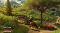 Weingter, berall Weingter - The Witcher 3, Blood and Wine