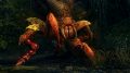 The Witcher 2, Arachas