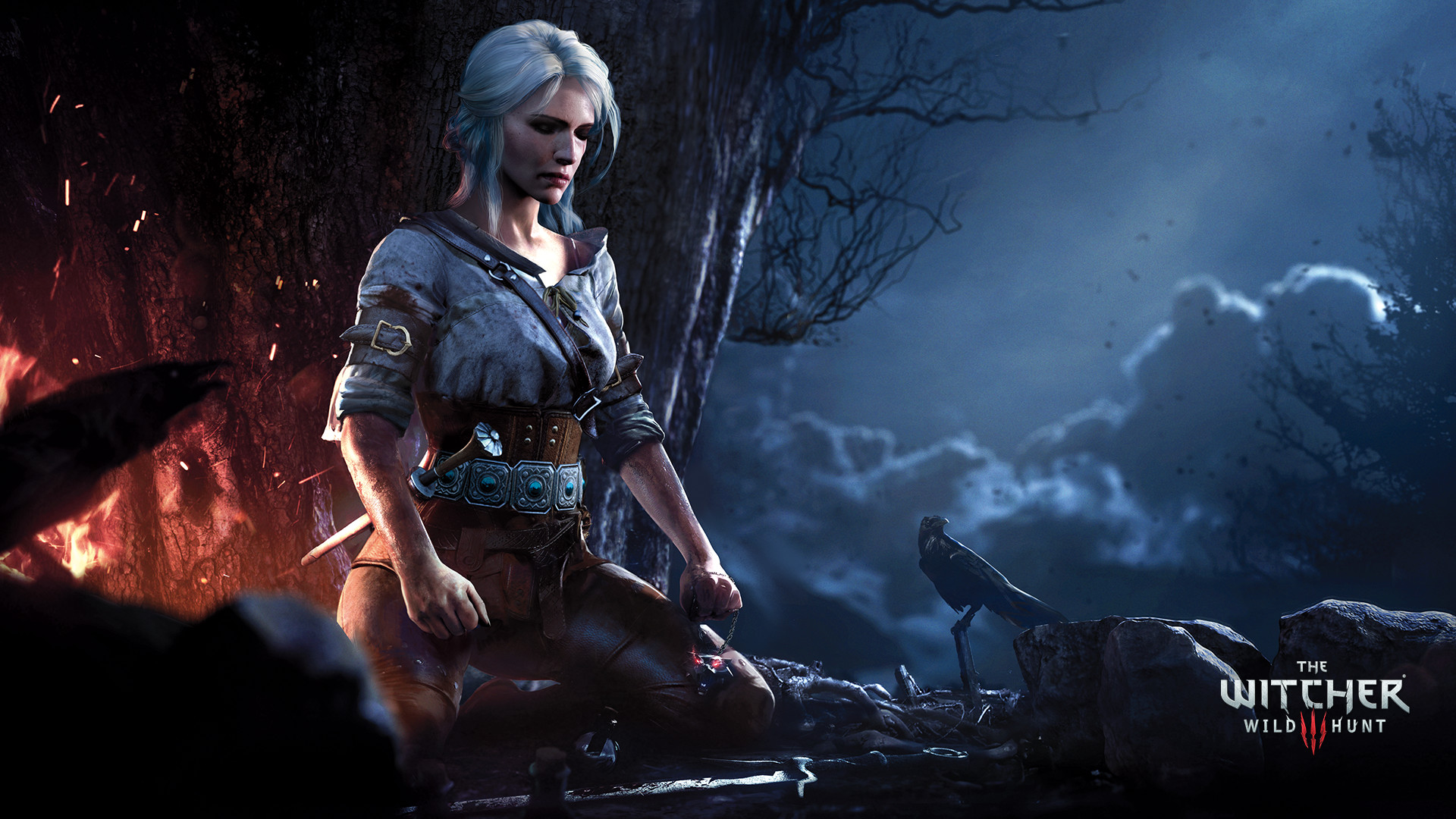 The Witcher De Die Community Zu The Witcher 3 Wild Hunt